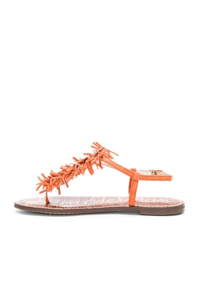 Shop Sam Edelman Gela Sandal In Orange Suede