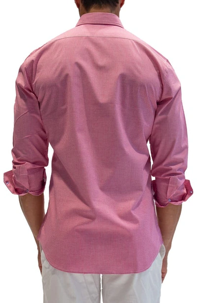 Tailorbyrd Regular Fit Gingham Stretch Cotton Button-down Shirt In Fuchsia