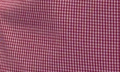 Tailorbyrd Regular Fit Gingham Stretch Cotton Button-down Shirt In Fuchsia