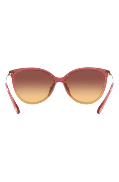 Michael Kors Dupont 58mm Gradient Cat Eye Sunglasses In Rose