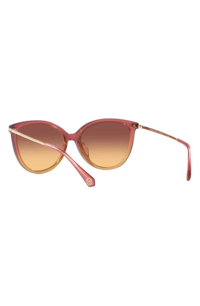 Michael Kors Dupont 58mm Gradient Cat Eye Sunglasses In Rose