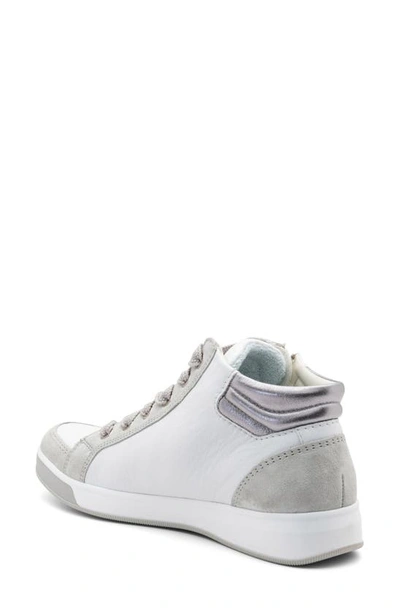 Ara Rei Sneaker In White Leather
