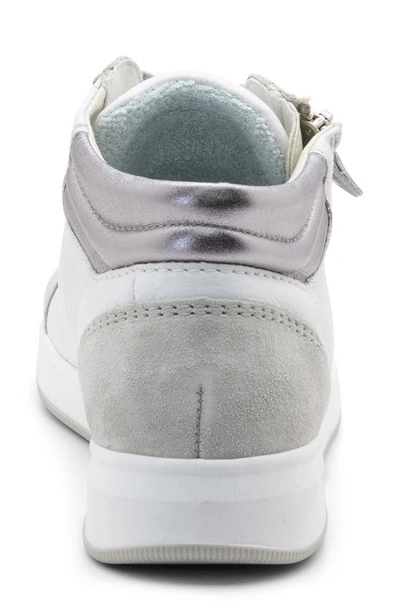 Ara Rei Sneaker In White Leather