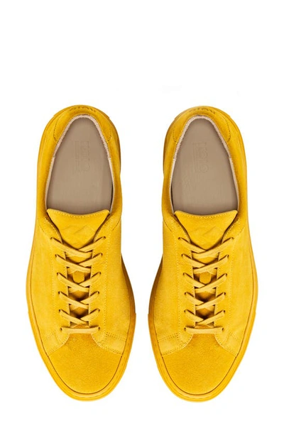 Shop Koio Capri Sneaker In Amber