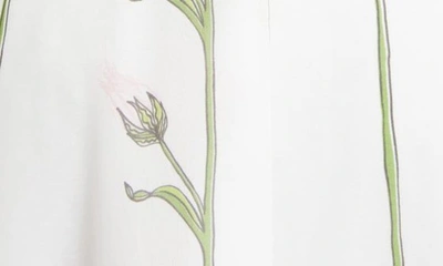 Shop Giambattista Valli Flower Branch Print Long Sleeve Silk Georgette Dress In White/ Rose P015