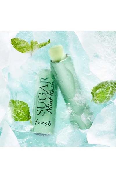 Shop Fresh Mint Rush Sugar Lip Treatment