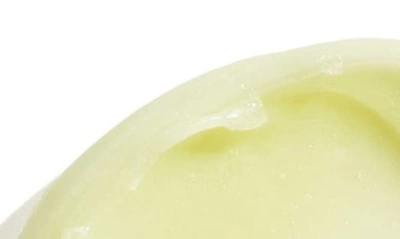 Shop Fresh Mint Rush Sugar Lip Treatment