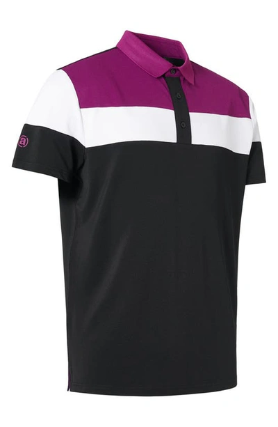 Shop Abacus Berrow Colorblock Golf Polo In Black