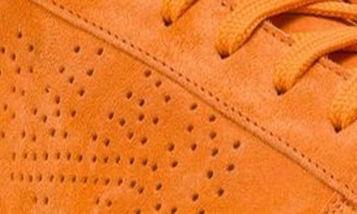 Shop P448 Jack Low Top Sneaker In Orange