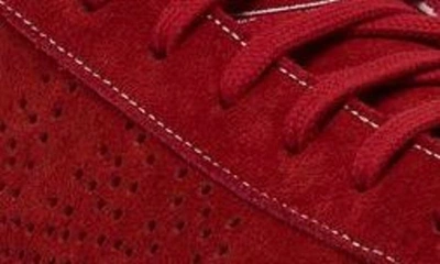 Shop P448 Jack Low Top Sneaker In Red