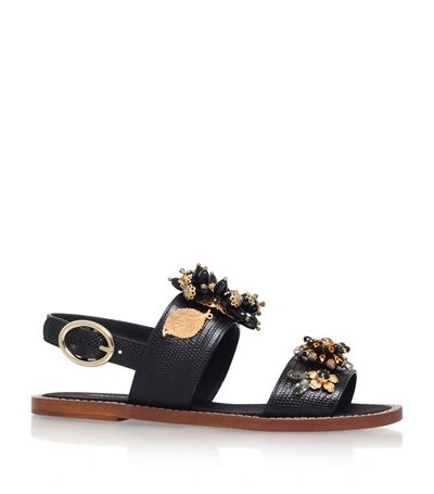 Shop Dolce & Gabbana Rosina Sandal
