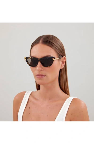 Shop Bottega Veneta 51mm Cat Eye Sunglasses In Avana