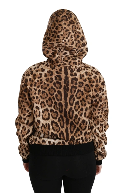 Shop Dolce & Gabbana Brown Hooded Studded Ayers Leopard Women's Sweater