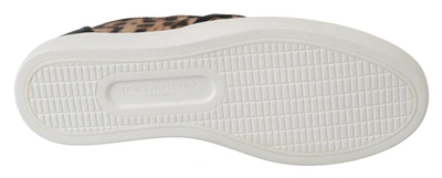 Shop Dolce & Gabbana Leather Leopard #dgfamily Loafers Women's Shoes In Brown