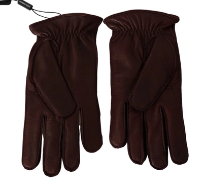 Dolce & Gabbana Maroon Wrist Length Mitten Leather Gloves In Bordeaux