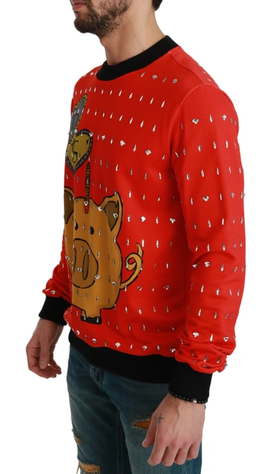 Dolce & Gabbana Red Crystal Pig Of The Year Sweater In Red