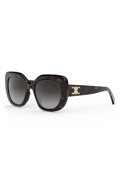 Shop Celine 55mm Gradient Butterfly Sunglasses In Dark Havana / Gradient Roviex