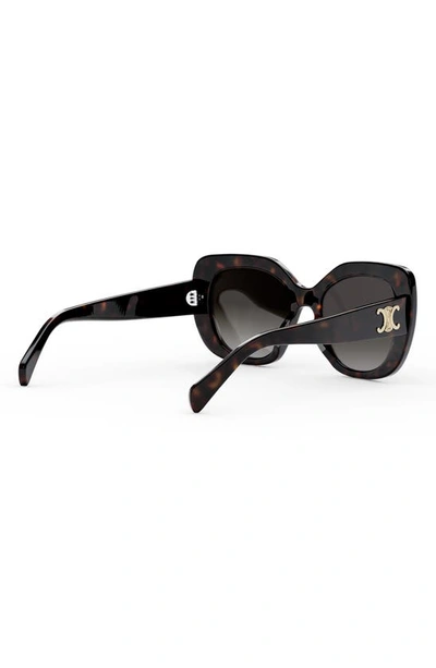 Shop Celine 55mm Gradient Butterfly Sunglasses In Dark Havana / Gradient Roviex