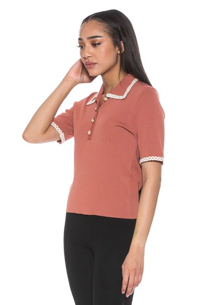 Shop Alexia Admor Collared Knit Short Sleeve Top In Apricot