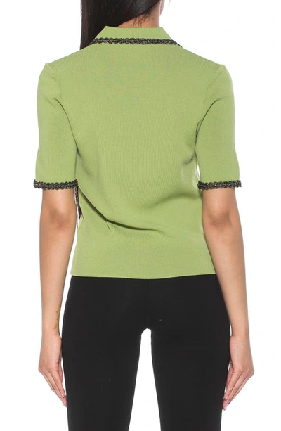 Shop Alexia Admor Collared Knit Short Sleeve Top In Sage