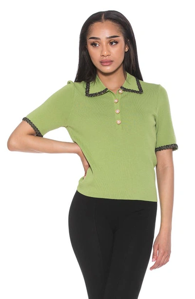 Shop Alexia Admor Collared Knit Short Sleeve Top In Sage