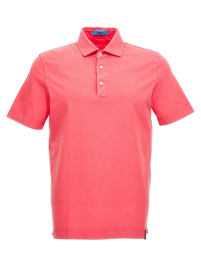 Shop Drumohr Light Cotton  Shirt. Polo Fuchsia