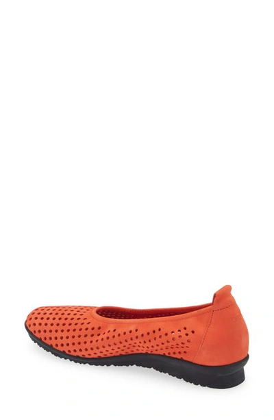 Shop Arche Barria Perforated Ballet Slip-on In Balise