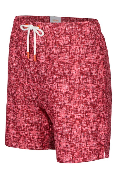 Shop Swims Ponza Swim Trunks In Campari