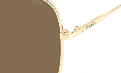 Shop Polaroid 59mm Flat Front Polarized Square Sunglasses In Mate Ivory-gold/ Bronze Polar