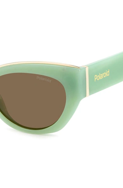 Shop Polaroid 50mm Polarized Cat Eye Sunglasses In Green/ Bronze Polar