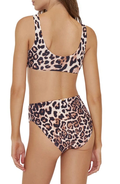 Shop Pq Swim O-ring Cutout One-piece Swimsuit In Cougar