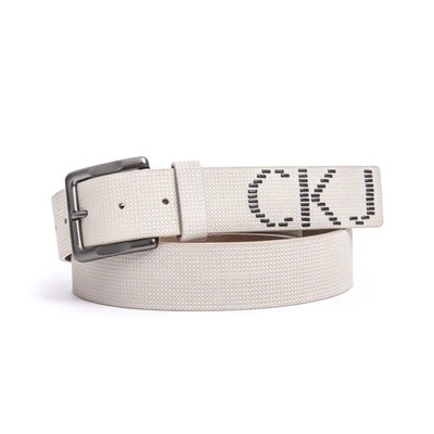 Shop Calvin Klein Leather Men's Belt In Beige