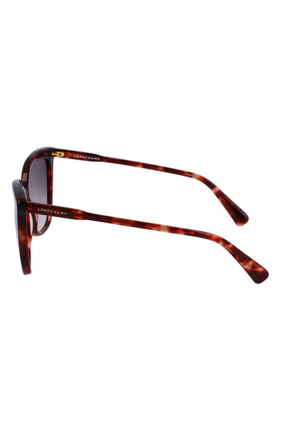 Longchamp 53mm Rectangular Sunglasses In Red Havana