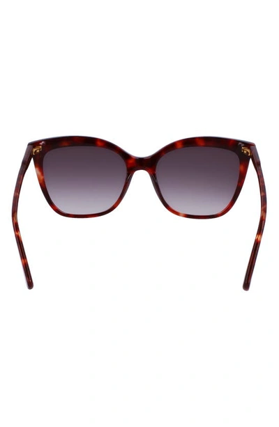 Longchamp 53mm Rectangular Sunglasses In Red Havana
