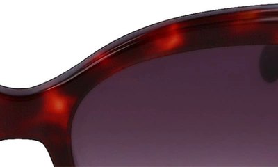 Shop Longchamp 53mm Rectangular Sunglasses In Red Havana