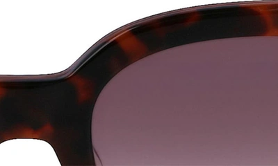 Shop Longchamp 52mm Gradient Tea Cup Sunglasses In Havana
