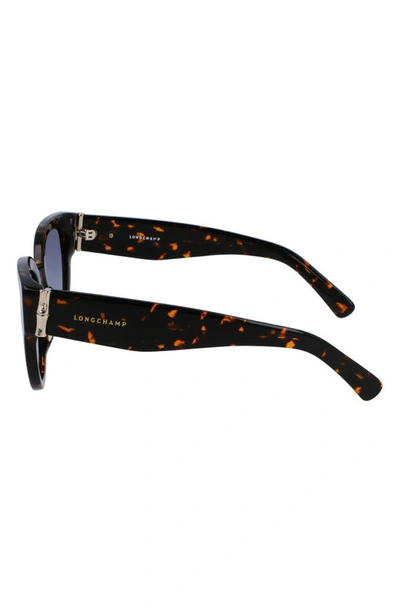 Longchamp 52mm Gradient Tea Cup Sunglasses In Dark Havana