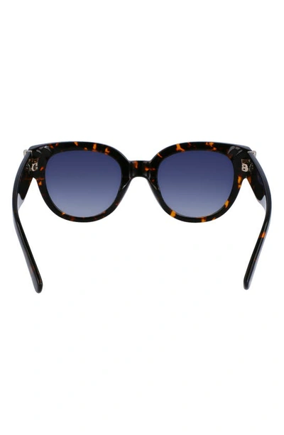 Longchamp 52mm Gradient Tea Cup Sunglasses In Dark Havana