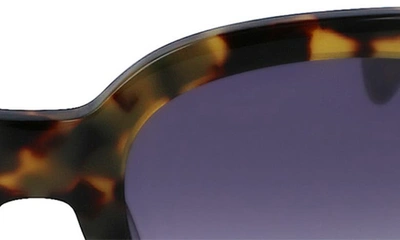 Shop Longchamp 52mm Gradient Tea Cup Sunglasses In Tokyo Havana