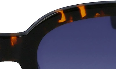 Longchamp 52mm Gradient Tea Cup Sunglasses In Dark Havana