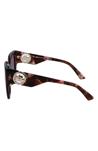 Shop Longchamp 53mm Rectangular Sunglasses In Brown Rose Havana