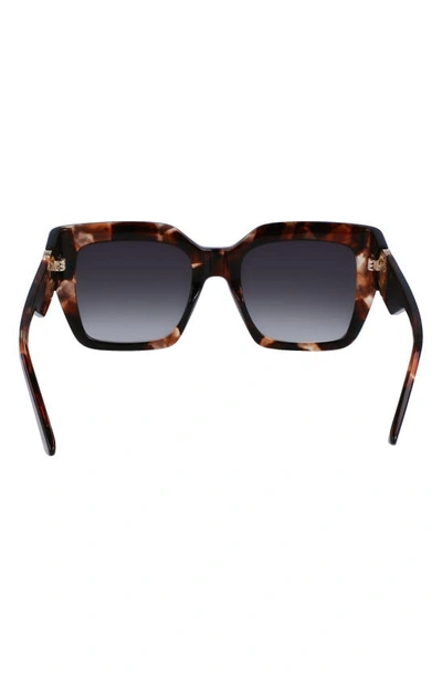 Longchamp 53mm Rectangular Sunglasses In Havana