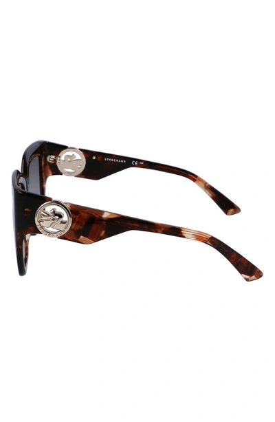 Shop Longchamp 53mm Rectangular Sunglasses In Havana