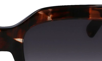 Longchamp 53mm Rectangular Sunglasses In Havana