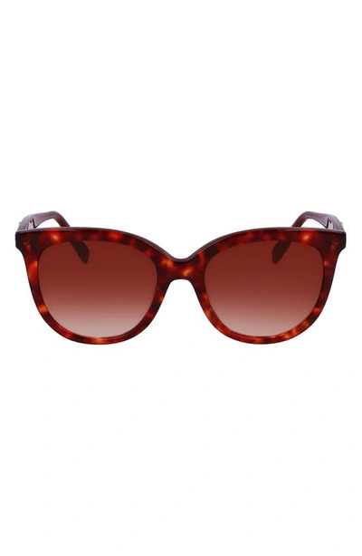 Shop Longchamp 54mm Gradient Tea Cup Sunglasses In Red Havana