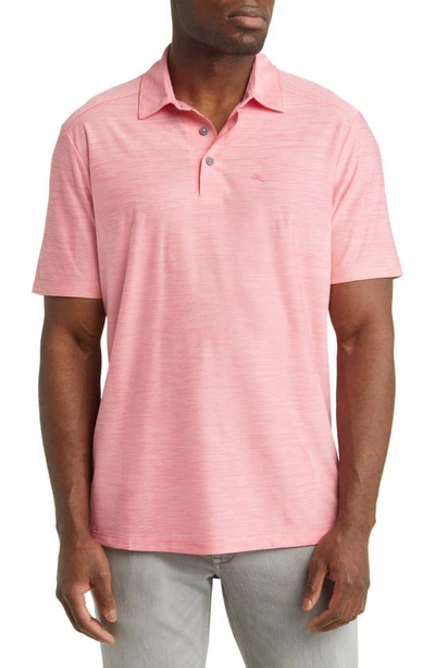 Shop Tommy Bahama Palm Coast Classic Fit Polo In Pink Confetti