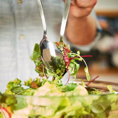 Rosle Stainless Steel Salad Serving Utensils In Silver