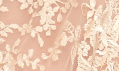 Rya Collection Plus Size Darling Long Embroidered Lace Robe In Champagne