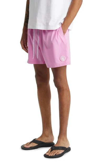 Shop Chubbies 5.5-inch Swim Trunks In The Pink 182s