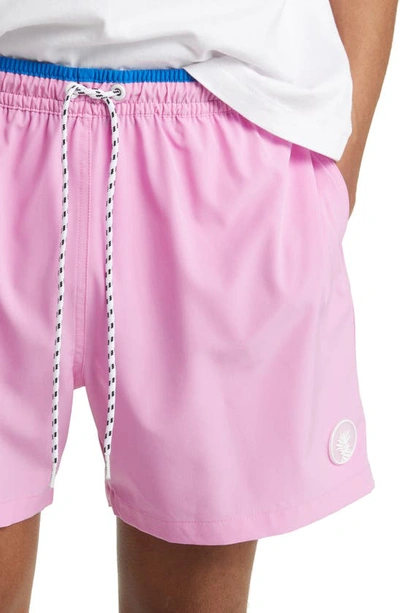 Shop Chubbies 5.5-inch Swim Trunks In The Pink 182s